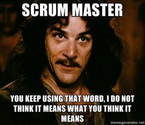 scrum master